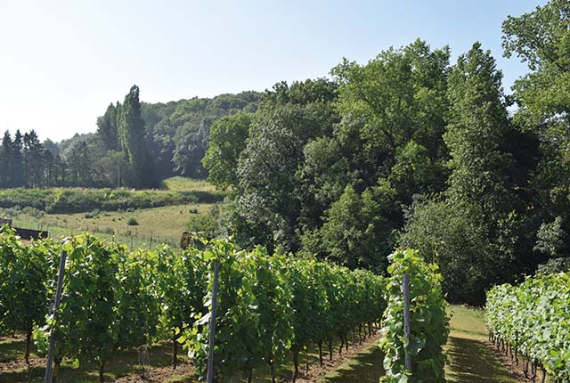 Wandelen, fietsen of bezoeken