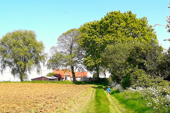 Het Firmament Vakantiewoning Heuvelland