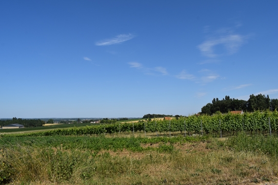 Het Firmament Vakantiewoning Heuvelland